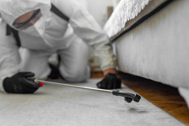 Professional Termite Control technician working in Monroe, OH