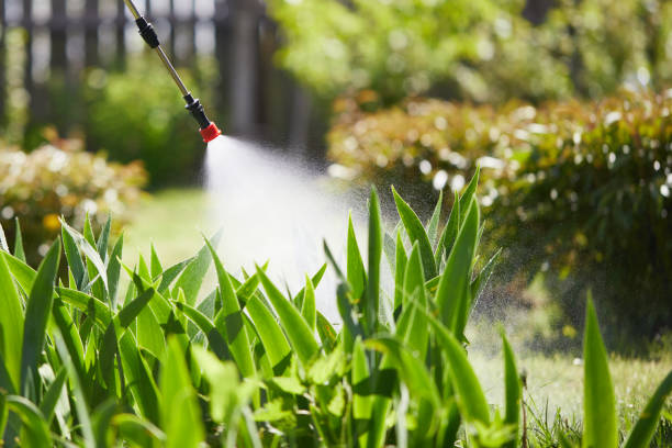 24/7 Emergency Termite Control experts in Monroe, OH