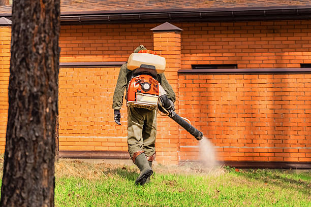 Top rated local Termite Control specialists in Monroe, OH
